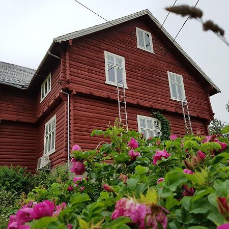 Haugtun Gardspensjonat Og Leiligheter Nordre Land ภายนอก รูปภาพ