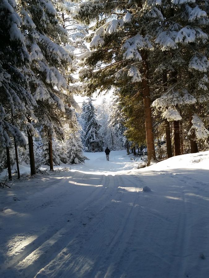 Haugtun Gardspensjonat Og Leiligheter Nordre Land ภายนอก รูปภาพ