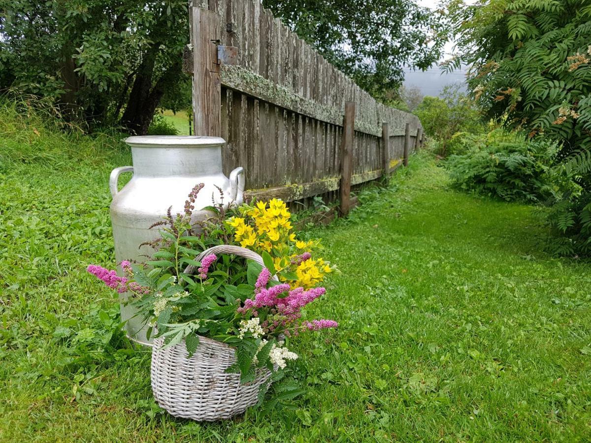 Haugtun Gardspensjonat Og Leiligheter Nordre Land ภายนอก รูปภาพ