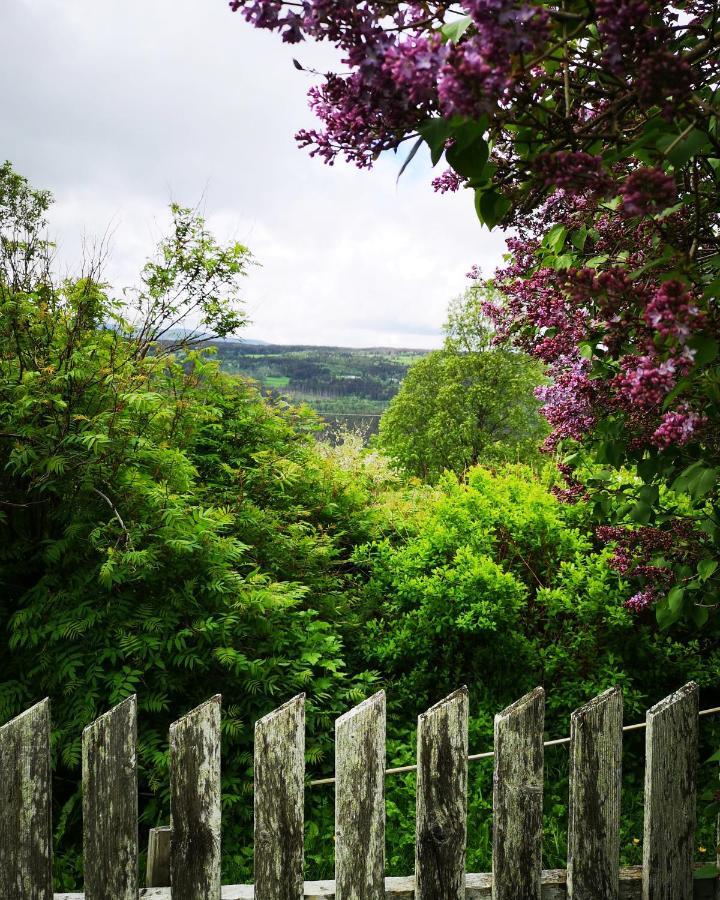 Haugtun Gardspensjonat Og Leiligheter Nordre Land ภายนอก รูปภาพ